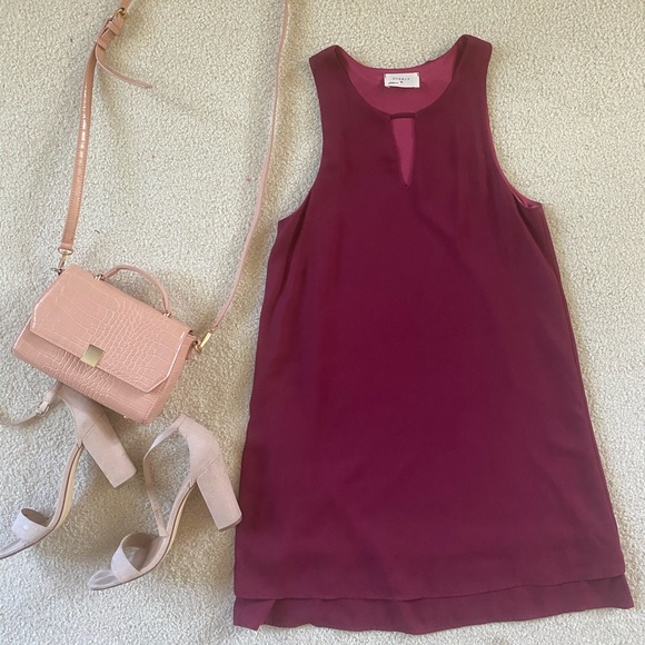 The Impeccable Pig Dresses & Skirts - Wine Dress